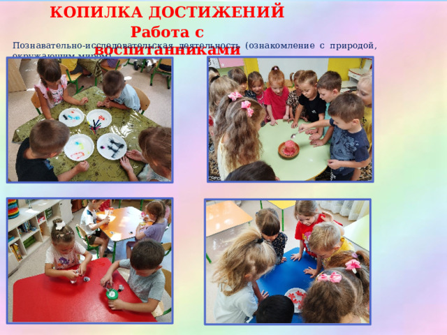 КОПИЛКА ДОСТИЖЕНИЙ Работа с воспитанниками Познавательно-исследовательская деятельность (ознакомление с природой, окружающим миром) 
