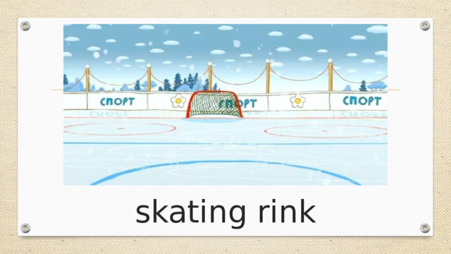 skating rink 