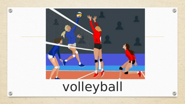 volleyball 