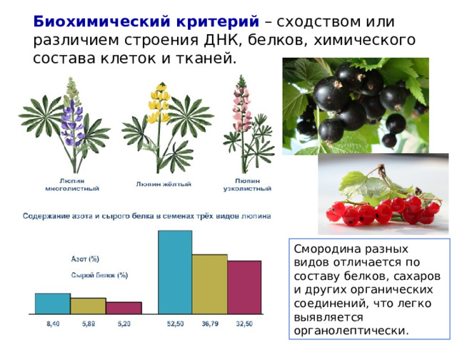 Биохимический критерий  – сходством или различием строения ДНК, белков, химического состава клеток и тканей. Смородина разных видов отличается по составу белков, сахаров и других органических соединений, что легко выявляется органолептически. 