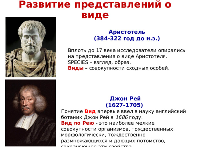 Развитие представлений о виде Аристотель (384-322 год до н.э.) Вплоть до 17 века исследователи опирались на представления о виде Аристотеля. SPECIES – взгляд, образ. Виды – совокупности сходных особей. Джон Рей  (1627-1705) Понятие  Вид  впервые ввел в науку английский ботаник Джон Рей в 1686 году. Вид по Рею - это наиболее мелкие совокупности организмов, тождественных морфологически, тождественно размножающихся и дающих потомство, сохраняющее эти свойства. 