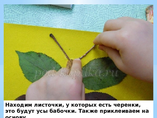 Находим листочки, у которых есть черенки, это будут усы бабочки. Также приклеиваем на основу. 