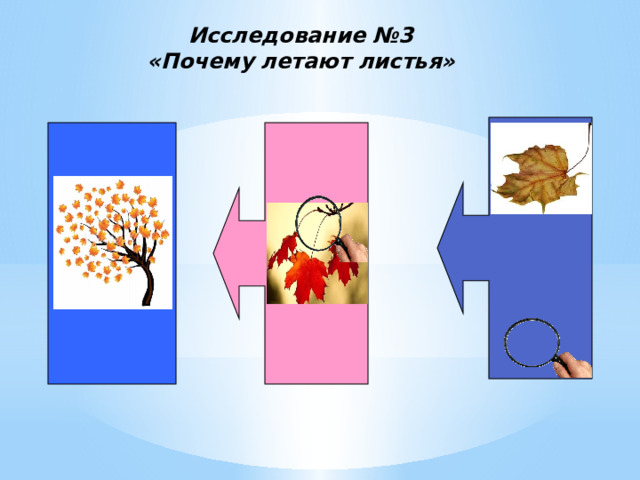 Исследование №3  «Почему летают листья»   
