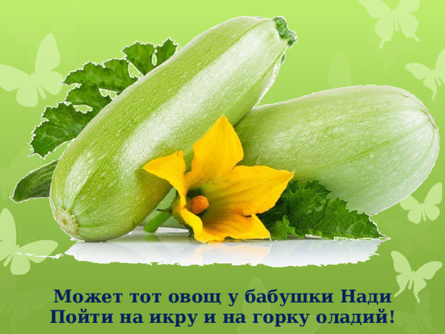 Может тот овощ у бабушки Нади Пойти на икру и на горку оладий! 