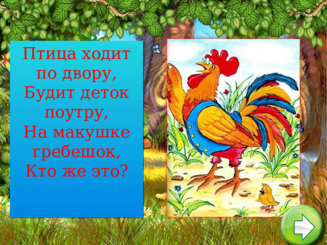 Птица ходит по двору,  Будит деток поутру,  На макушке гребешок,  Кто же это?    