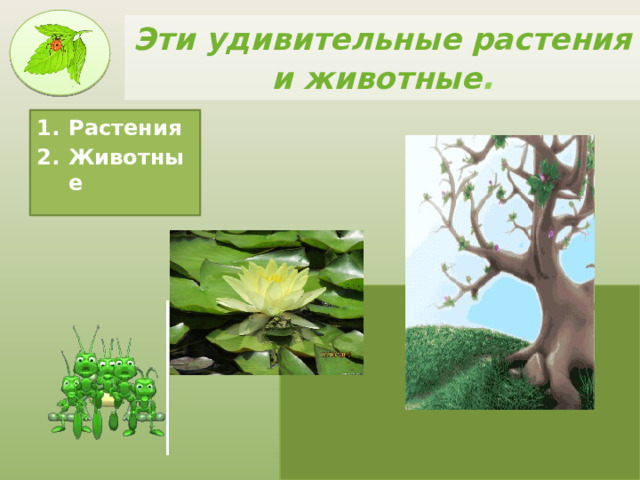Эти удивительные растения и животные . Растения Животные 