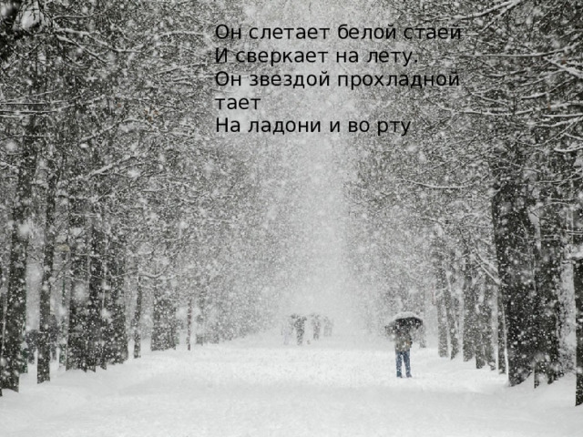 Он слетает белой стаей   И сверкает на лету.   Он звездой прохладной тает   На ладони и во рту СНЕГ  