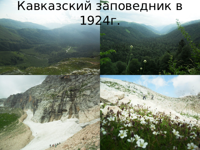Кавказский заповедник в 1924г. 