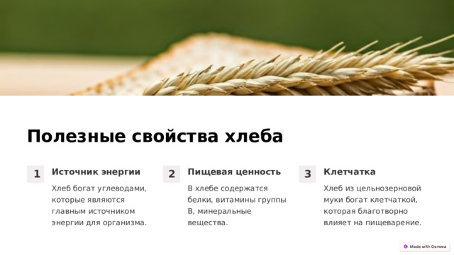 Полезные свойства хлеба Источник энергии Пищевая ценность Клетчатка 1 2 3 Хлеб богат углеводами, которые являются главным источником энергии для организма. В хлебе содержатся белки, витамины группы B, минеральные вещества. Хлеб из цельнозерновой муки богат клетчаткой, которая благотворно влияет на пищеварение.  
