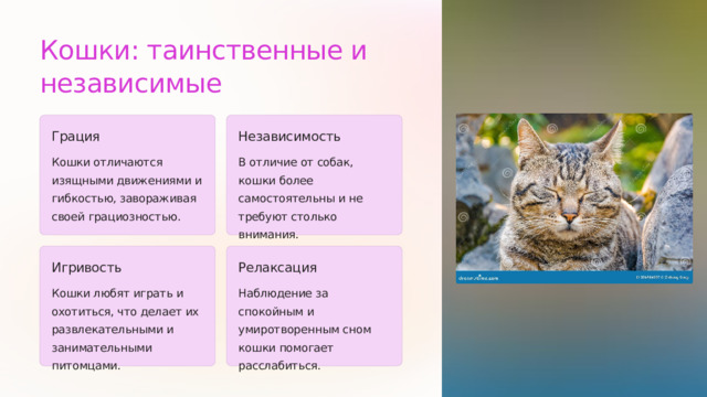 Кошки: таинственные и независимые Грация Независимость Кошки отличаются изящными движениями и гибкостью, завораживая своей грациозностью. В отличие от собак, кошки более самостоятельны и не требуют столько внимания. Игривость Релаксация Кошки любят играть и охотиться, что делает их развлекательными и занимательными питомцами. Наблюдение за спокойным и умиротворенным сном кошки помогает расслабиться.  