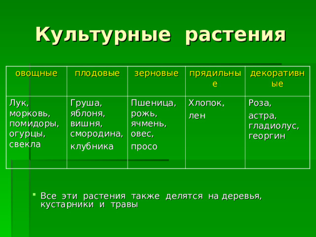 Культурные растения овощные плодовые Лук, морковь, помидоры, огурцы, свекла зерновые Груша, яблоня, вишня, смородина, клубника прядильные Пшеница, рожь, ячмень, овес, просо декоративные Хлопок, лен Роза, астра, гладиолус, георгин Все эти растения также делятся на деревья, кустарники и травы 