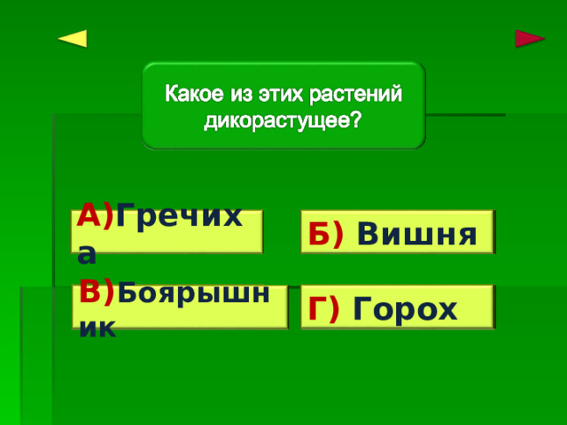 А) Гречиха Б) Вишня Ошибка! Ошибка! Г) Горох Верно! Ошибка! В) Боярышник 