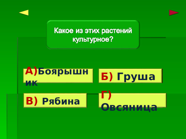 Б) Груша Верно! Ошибка! А) Боярышник Г) Овсяница Ошибка! В) Рябина Ошибка! 