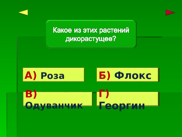 Ошибка! Б) Флокс А) Роза Ошибка! Г) Георгин Верно! Ошибка! В) Одуванчик 