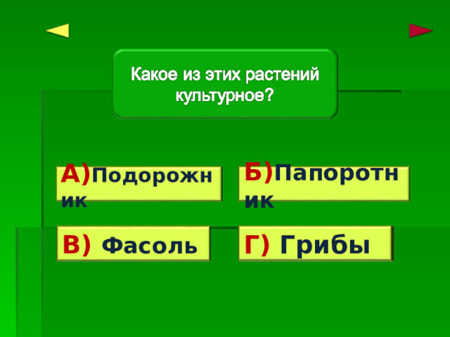 Ошибка! Ошибка! А) Подорожник Б) Папоротник Верно! Г) Грибы Ошибка! В) Фасоль 