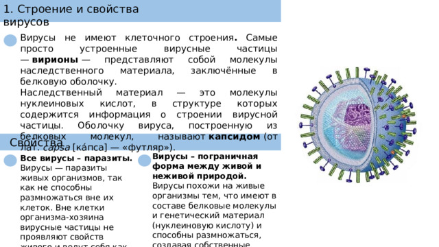 1. Строение и свойства вирусов Вирусы не имеют клеточного строения . Самые просто устроенные вирусные частицы —  вирионы  — представляют собой молекулы наследственного материала, заключённые в белковую оболочку.  Наследственный материал — это молекулы нуклеиновых кислот, в структуре которых содержится информация о строении вирусной частицы. Оболочку вируса, построенную из белковых молекул, называют  капсидом  (от лат.  capsa  [ка́пса] — «футляр»).  Свойства Вирусы – пограничная форма между живой и неживой природой. Вирусы похожи на живые организмы тем, что имеют в составе белковые молекулы и генетический материал (нуклеиновую кислоту) и способны размножаться, создавая собственные копии.  Все вирусы – паразиты.  Вирусы — паразиты живых организмов, так как не способны размножаться вне их клеток. Вне клетки организма-хозяина вирусные частицы не проявляют свойств живого и ведут себя как химические вещества. 