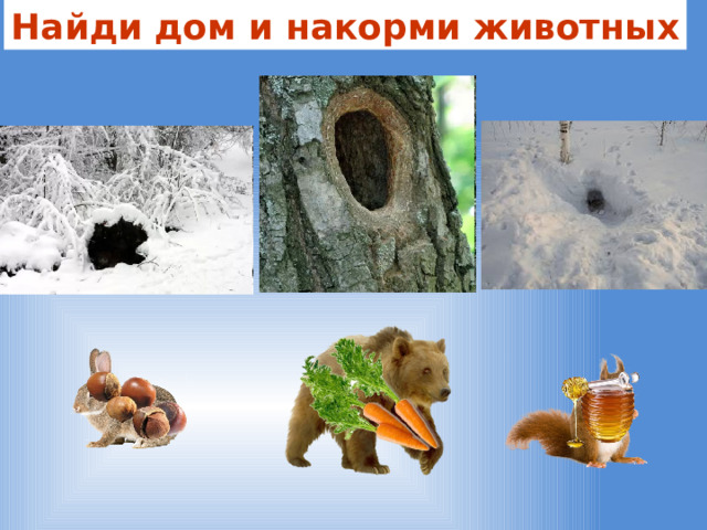 Найди дом и накорми животных 