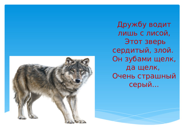 Дружбу водит лишь с лисой,  Этот зверь сердитый, злой.  Он зубами щелк, да щелк,  Очень страшный серый… 