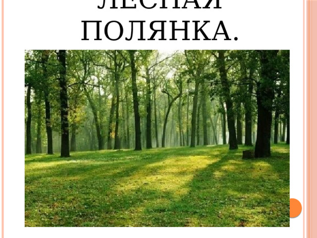 Лесная полянка. 