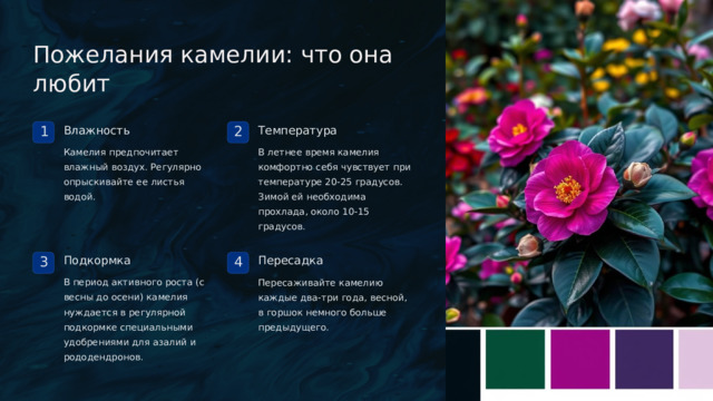  Пожелания камелии: что она любит Влажность Температура 1 2 В летнее время камелия комфортно себя чувствует при температуре 20-25 градусов. Зимой ей необходима прохлада, около 10-15 градусов. Камелия предпочитает влажный воздух. Регулярно опрыскивайте ее листья водой. Подкормка Пересадка 3 4 В период активного роста (с весны до осени) камелия нуждается в регулярной подкормке специальными удобрениями для азалий и рододендронов. Пересаживайте камелию каждые два-три года, весной, в горшок немного больше предыдущего. 