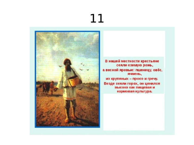 11 