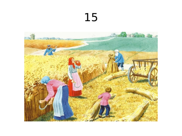 15 