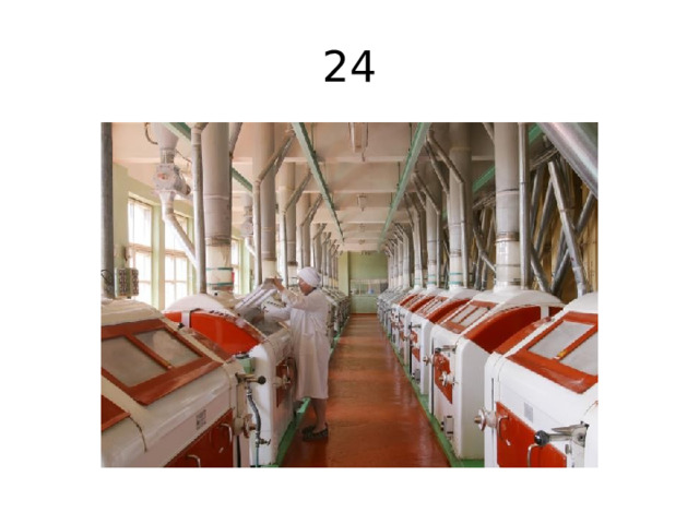 24 