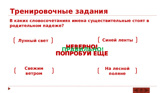 Тренировочные задания В каких словосочетаниях имена существительные стоят в родительном падеже? Синей ленты Лунный свет НЕВЕРНО! ПОПРОБУЙ ЕЩЕ НЕВЕРНО! ПОПРОБУЙ ЕЩЕ НЕВЕРНО! ПОПРОБУЙ ЕЩЕ ПРАВИЛЬНО! Свежим ветром На лесной поляне 