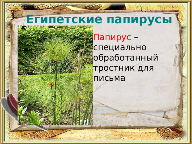  Египетские папирусы   Папирус – специально обработанный тростник для письма 