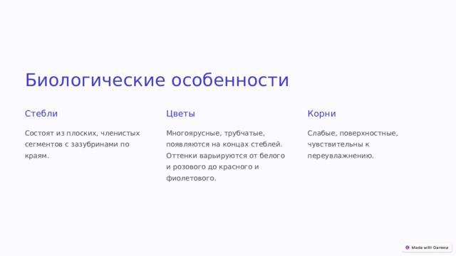 Биологические особенности Стебли Цветы Корни Состоят из плоских, членистых сегментов с зазубринами по краям. Многоярусные, трубчатые, появляются на концах стеблей. Оттенки варьируются от белого и розового до красного и фиолетового. Слабые, поверхностные, чувствительны к переувлажнению.  