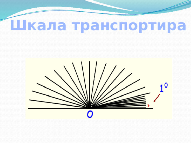 Шкала транспортира 