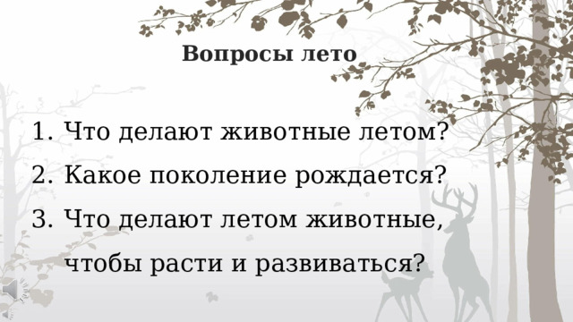 Вопросы лето Что делают животные летом? Какое поколение рождается? Что делают летом животные, чтобы расти и развиваться? 