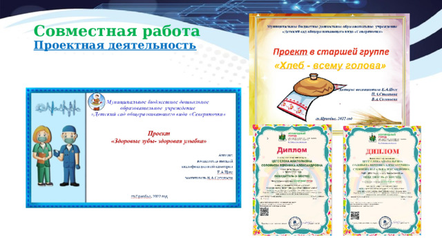Совместная работа  Проектная деятельность 