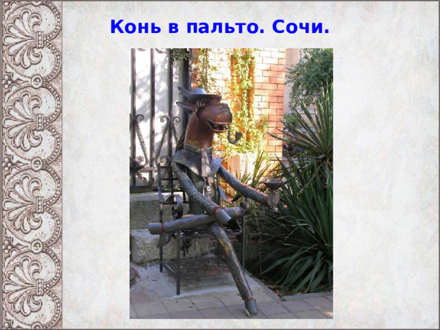 Конь в пальто. Сочи. 