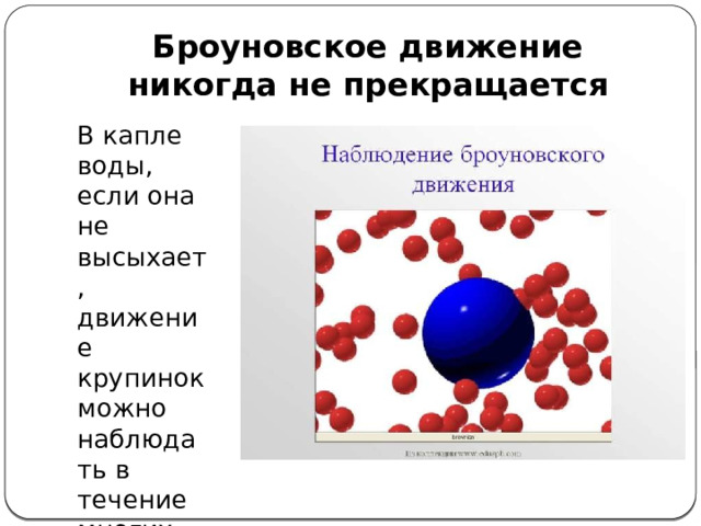 Броуновское движение никогда не прекращается В капле воды, если она не высыхает, движение крупинок можно наблюдать в течение многих лет 
