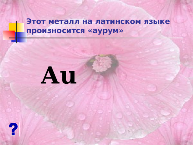 Этот металл на латинском языке произносится «аурум»  А u 