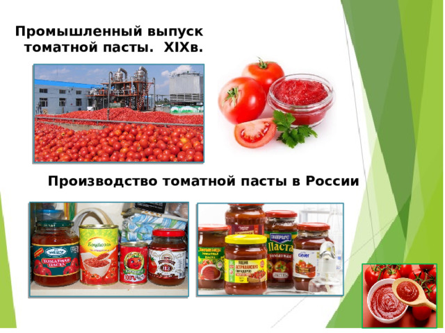  Промышленный выпуск томатной пасты. XIXв.   Производство томатной пасты в России Производство томатной пасты в России  