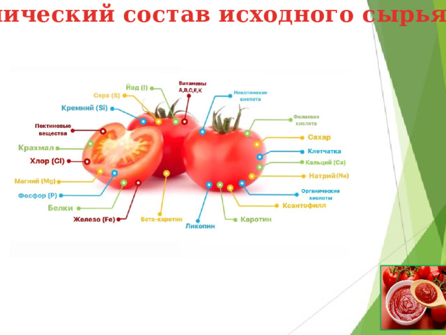 Химический состав исходного сырья       Производство томатной пасты в России  