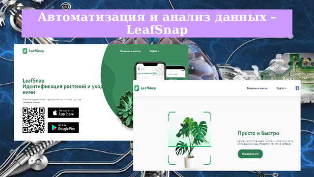 Искусственный интеллект на уроках биологии