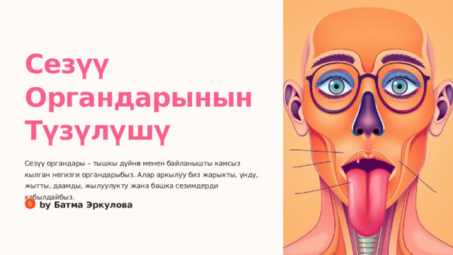  Сезүү Органдарынын Түзүлүшү Сезүү органдары – тышкы дүйнө менен байланышты камсыз кылган негизги органдарыбыз. Алар аркылуу биз жарыкты, үндү, жытты, даамды, жылуулукту жана башка сезимдерди кабылдайбыз. by Батма Эркулова 