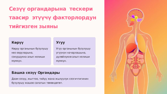 Сезүү органдарына тескери таасир этүүчү факторлордун тийгизген зыяны Көрүү Угуу Көрүү органынын бузулушу көз ооруларына, сокурдукка алып келиши мүмкүн. Угуу органынын бузулушу угуунун начарлашына, дүлөйлүккө алып келиши мүмкүн. Башка сезүү Органдары Даам сезүү, жыттоо, тийүү жана жылуулук сезгичтигинин бузулушу жашоо сапатын төмөндөтөт. 
