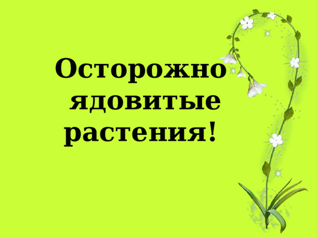 Осторожно  ядовитые растения! 