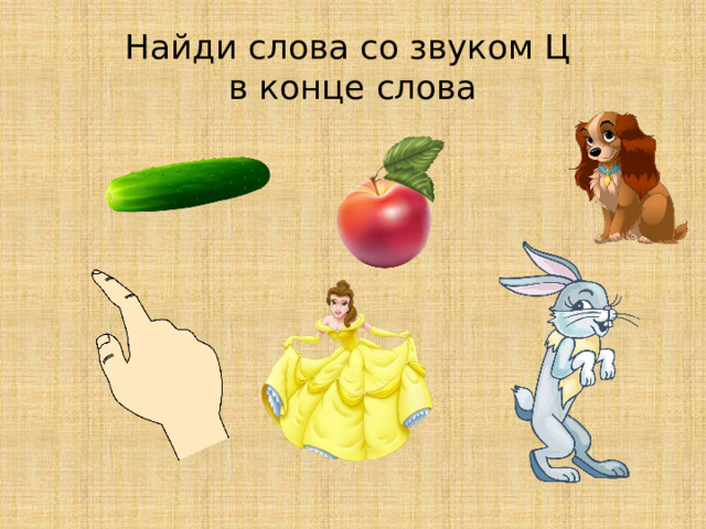 Найди слова со звуком Ц  в конце слова 