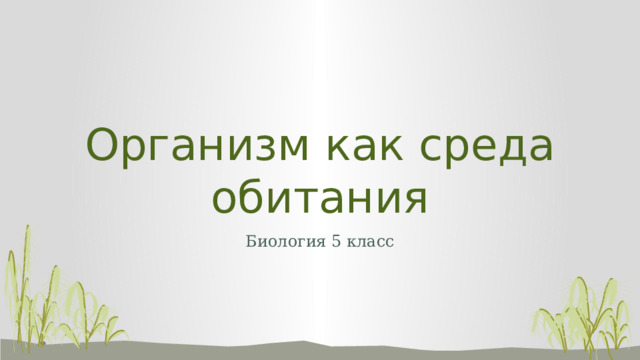 Организм как среда обитания Биология 5 класс  