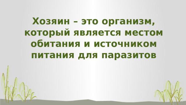 Хозяин – это организм, который является местом обитания и источником питания для паразитов 