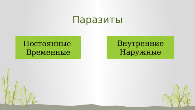 Паразиты Постоянные Внутренние Временные Наружные 