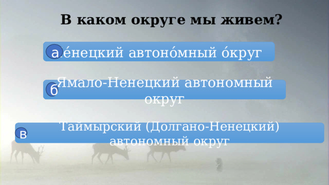 В каком округе мы живем? Не́нецкий автоно́мный о́круг а Ямало-Ненецкий автономный округ б Таймырский (Долгано-Ненецкий) автономный округ в 