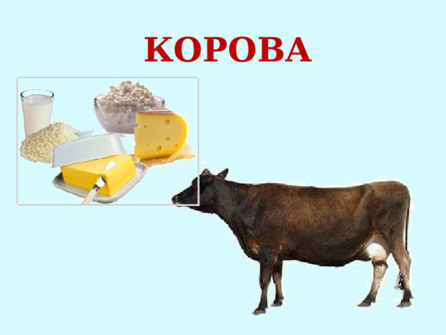 КОРОВА 