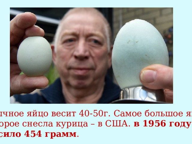Обычное яйцо весит 40-50г. Самое большое яйцо, которое снесла курица – в США. в 1956 году и  весило 454 грамм . 
