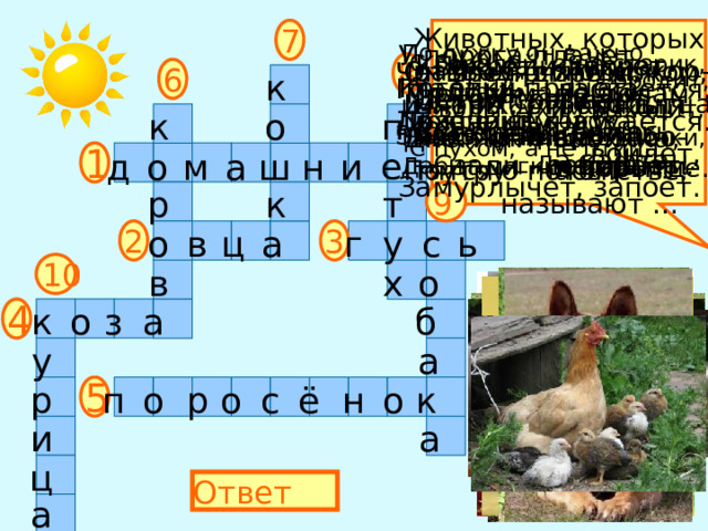 7 Животных, которых разводят люди, кор- мят их, строят для них жилища, забо- тятся о потомстве,  называют … У порога плачет, По лужку он важно  бродит, Коготки прячет, Тихо в комнату Из воды сухим выходит,  войдёт, Носит красные ботинки, Замурлычет, запоёт. Дарит мягкие перинки. Квохчет, квохчет, С бородой, а не старик, Посреди двора Детей созывает, С рогами, а не бык, Стоит копна. Доят, а не корова, Спереди – вилы, Всех под крыло С пухом, а не птица.  собирает. Сзади – метла. 8 Он в мундире ярком, Шпоры для красы. Днём он – забияка, Поутру – часы. Четыре грязных  копытца Залезли прямо  в корытце. 6 к Гладишь – ласкается, Дразнишь – кусается. По горам, по долам Ходит шуба,  да кафтан. п к о 1 е д о м а ш н и 9 т к р с ь г у 2 3 а ц в о 10 о х в к о б з а 4 а у к р 5 о р н ё с п о о а и ц Ответ а 
